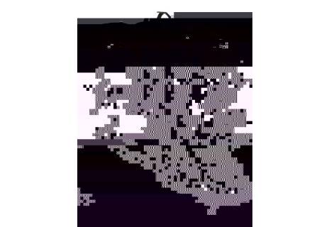 Městský batoh stylový BAGMASTER QUANTUM 9 A GRAY