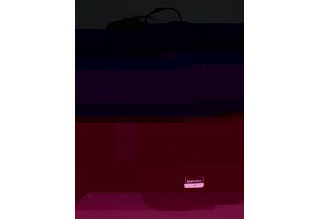 Městský batoh stylový BAGMASTER QUANTUM 9 A GRAY