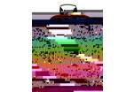 Školní batoh pro prvňáčky s leguánem Bagmaster GALAXY 7 E GREEN/ORANGE