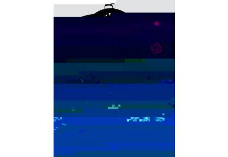 Studentský batoh NIE 2014 A