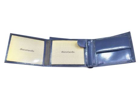 Pánská kožená peněženka