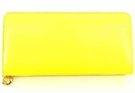 Dámská / dívčí peněženka  pouzdrového typu